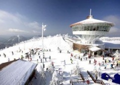 Khu trượt tuyết Yangji Pine