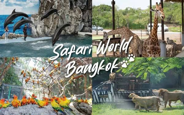 Thưởng lãm Safari World Bangkok tận hưởng cảm giác về miền hoang dã Thưởng lãm Safari World Bangkok tận hưởng cảm giác về miền hoang dã