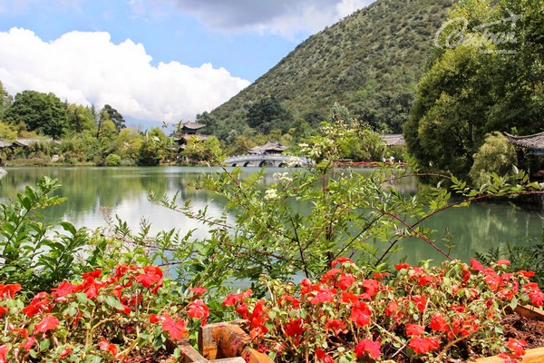 Ngẩn ngơ trước vẻ đẹp của công viên Hắc Long Đàm - Trung Quốc Ngẩn ngơ trước vẻ đẹp của công viên Hắc Long Đàm - Trung Quốc