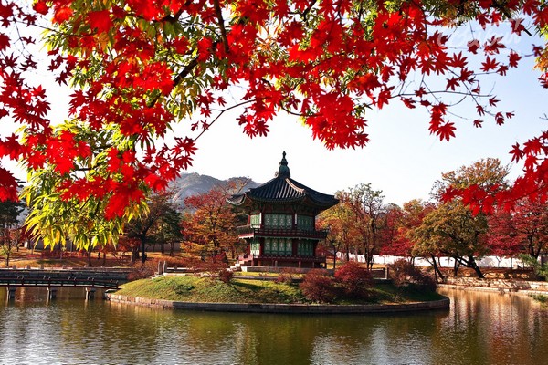 Say lòng trước vẻ đẹp của xứ Hàn khi bước vào mùa lá đỏ Say lòng trước vẻ đẹp của xứ Hàn khi bước vào mùa lá đỏ