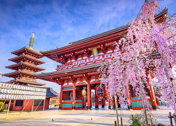 Những địa điểm du lịch Kyoto tuyệt đẹp