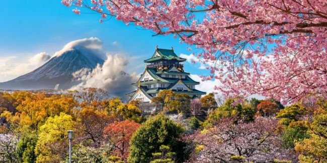 Hoàng cung Tokyo - Điểm check-in hàng đầu tại Nhật Bản