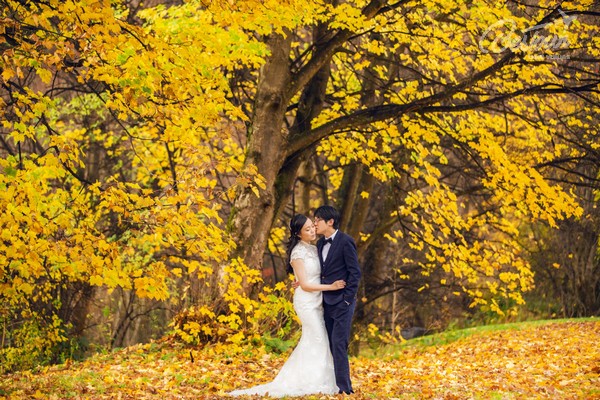 Say lòng trước vẻ đẹp của xứ Hàn khi bước vào mùa lá đỏ Say lòng trước vẻ đẹp của xứ Hàn khi bước vào mùa lá đỏ