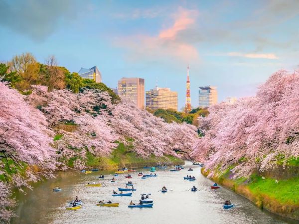 Hoàng cung Tokyo - Điểm check-in hàng đầu tại Nhật Bản Hoàng cung Tokyo - Điểm check-in hàng đầu tại Nhật Bản