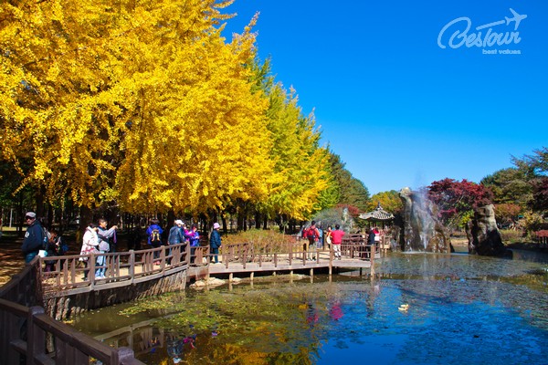 Say lòng trước vẻ đẹp của xứ Hàn khi bước vào mùa lá đỏ Say lòng trước vẻ đẹp của xứ Hàn khi bước vào mùa lá đỏ