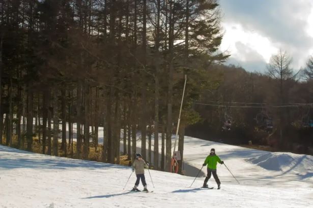 Trải nghiệm trượt tuyết ở Fujiten Snow resort Trải nghiệm trượt tuyết ở Fujiten Snow resort