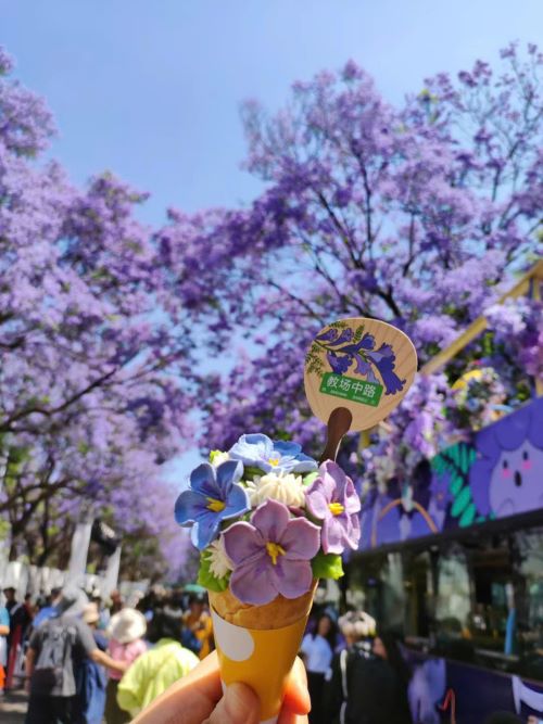 Check in mùa hoa phượng tím cực thơ ở Côn Minh  Check in mùa hoa phượng tím cực thơ ở Côn Minh