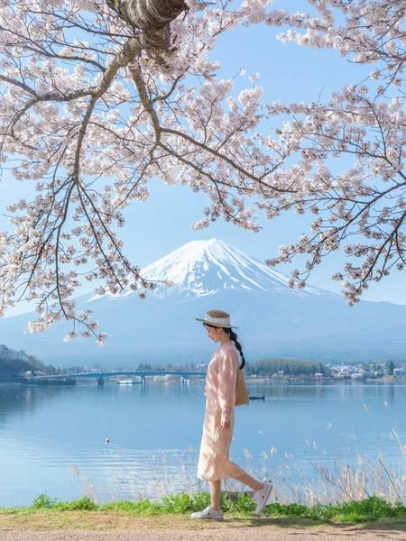 Xin visa Châu Á có khó không? Nước nào dễ nhất cho người Việt?