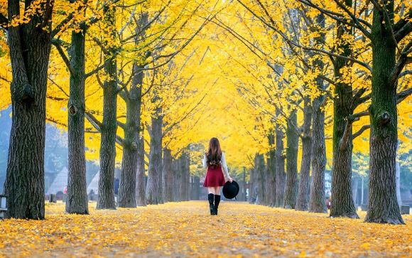 Chiêm ngưỡng đảo Nami Hàn Quốc lãng mạn như một bản tình ca Chiêm ngưỡng đảo Nami Hàn Quốc lãng mạn như một bản tình ca