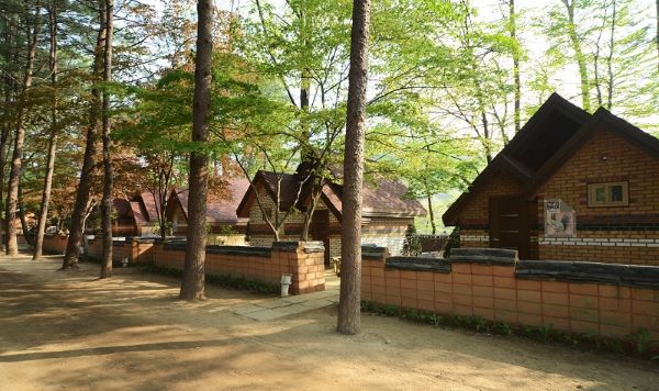 Chiêm ngưỡng đảo Nami Hàn Quốc lãng mạn như một bản tình ca Chiêm ngưỡng đảo Nami Hàn Quốc lãng mạn như một bản tình ca