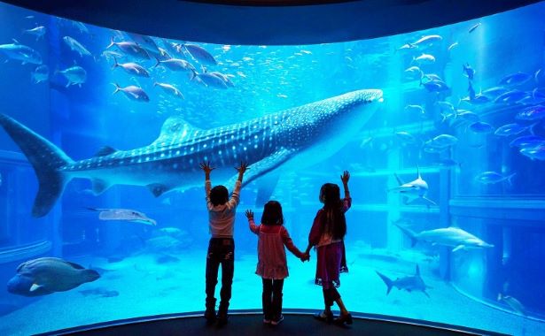 Khám phá các địa danh tại Osaka Nhật Bản Khám phá các địa danh tại Osaka Nhật Bản