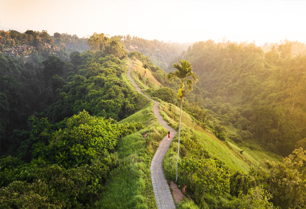 Campuhan Ridge Walk Ubud Bali