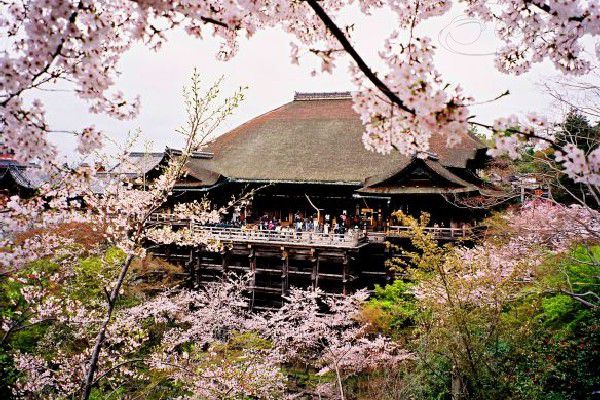 Không thể bỏ qua chùa Thanh Thuỷ khi ghé thăm cố đô Kyoto Nhật Bản Không thể bỏ qua chùa Thanh Thuỷ khi ghé thăm cố đô Kyoto Nhật Bản