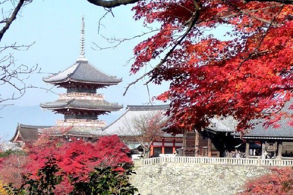 Không thể bỏ qua chùa Thanh Thuỷ khi ghé thăm cố đô Kyoto Nhật Bản Không thể bỏ qua chùa Thanh Thuỷ khi ghé thăm cố đô Kyoto Nhật Bản