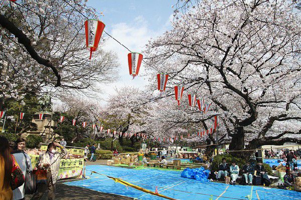 Cȏng viên Ueno – điểm đến lý tưởng mùa hoa anh ᵭào Nhật Bản
