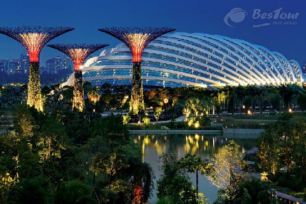 Siêu cây khổng lồ tại khu vườn nhân tạo Gardens by the Bay Singapore Siêu cây khổng lồ tại khu vườn nhân tạo Gardens by the Bay Singapore