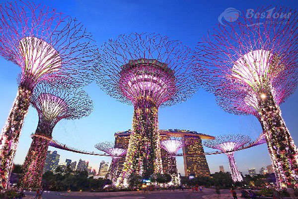 Siêu cây khổng lồ tại khu vườn nhân tạo Gardens by the Bay Singapore Siêu cây khổng lồ tại khu vườn nhân tạo Gardens by the Bay Singapore