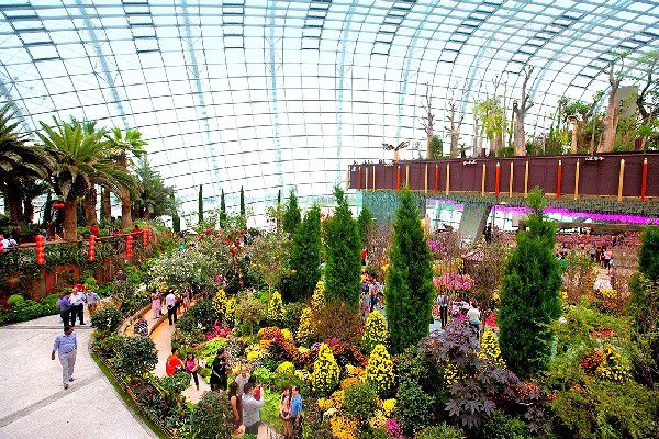 Siêu cây khổng lồ tại khu vườn nhân tạo Gardens by the Bay Singapore Siêu cây khổng lồ tại khu vườn nhân tạo Gardens by the Bay Singapore