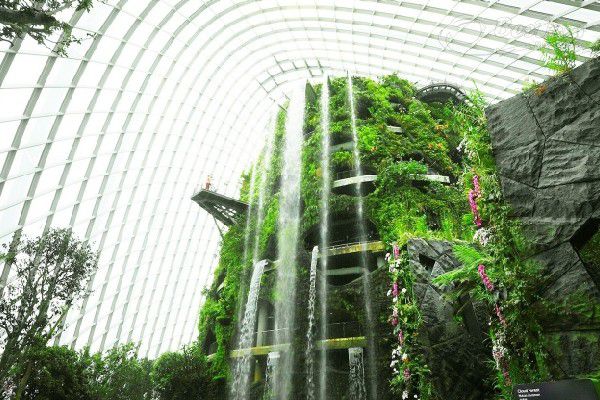 Siêu cây khổng lồ tại khu vườn nhân tạo Gardens by the Bay Singapore Siêu cây khổng lồ tại khu vườn nhân tạo Gardens by the Bay Singapore