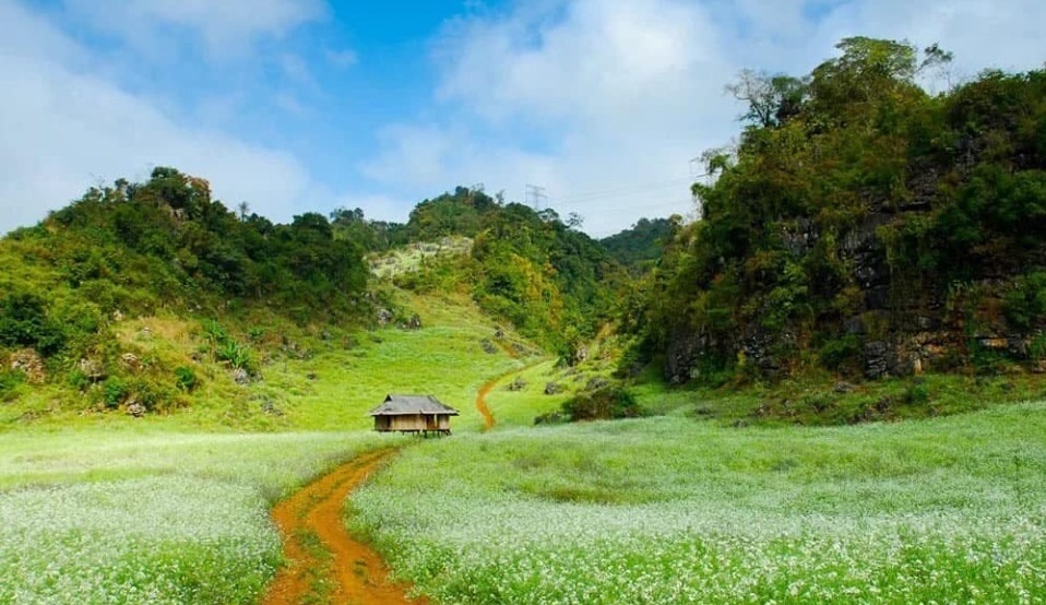 Du Lịch Mộc Châu