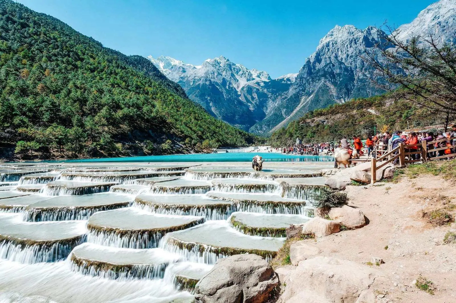 Có nên đi Lệ Giang – Shangri-La không?