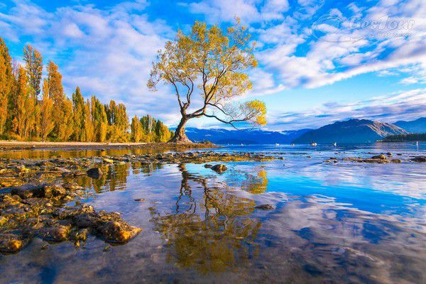 Du lịch New Zealand nhất định phải ghé hồ Wanaka chiêm ngưỡng nét thơ mộng Du lịch New Zealand nhất định phải ghé hồ Wanaka chiêm ngưỡng nét thơ mộng