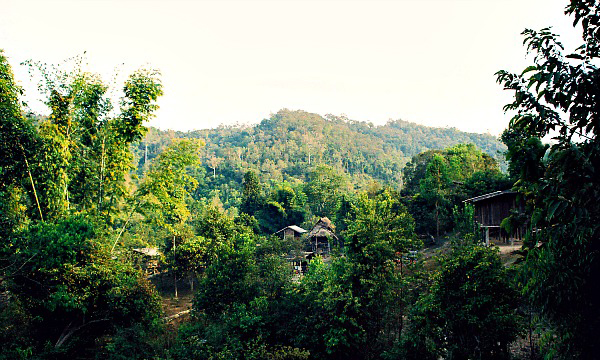 LÀNG NGƯỜI CỔ DÀI- NÉT ĐỘC ĐÁO TRONG DU LỊCH THÁI LAN LÀNG NGƯỜI CỔ DÀI- NÉT ĐỘC ĐÁO TRONG DU LỊCH THÁI LAN