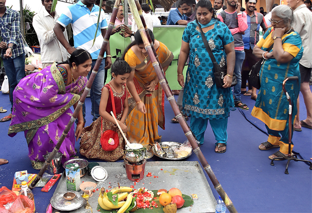 Lễ hội thu hoạch của người Pongal Singapore