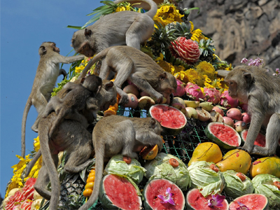 TOP 6 LẾ HỘI ĐỘC ĐÁO CỦA ĐẤT NƯỚC THÁI LAN TOP 6 LẾ HỘI ĐỘC ĐÁO CỦA ĐẤT NƯỚC THÁI LAN