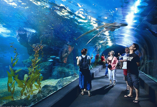 Safari World Bangkok- A-Z kinh nghiệm tham quan Vườn Thú Lớn Nhất Châu Á Safari World Bangkok- A-Z kinh nghiệm tham quan Vườn Thú Lớn Nhất Châu Á