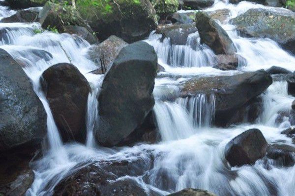 Ngỡ ngàng trước suối Tranh hùng vĩ Ngỡ ngàng trước suối Tranh hùng vĩ