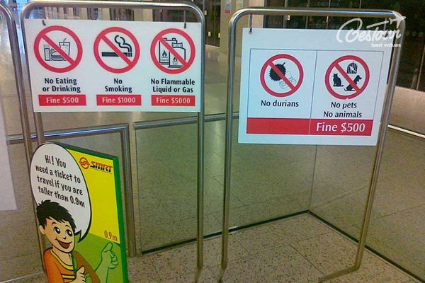 Những sự thật thú vị về Singapore ít ai biết Những sự thật thú vị về Singapore ít ai biết