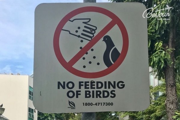 Những sự thật thú vị về Singapore ít ai biết Những sự thật thú vị về Singapore ít ai biết