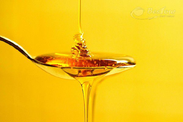 Thưởng thức đặc sản siro cây lá phong Canada Thưởng thức đặc sản siro cây lá phong Canada