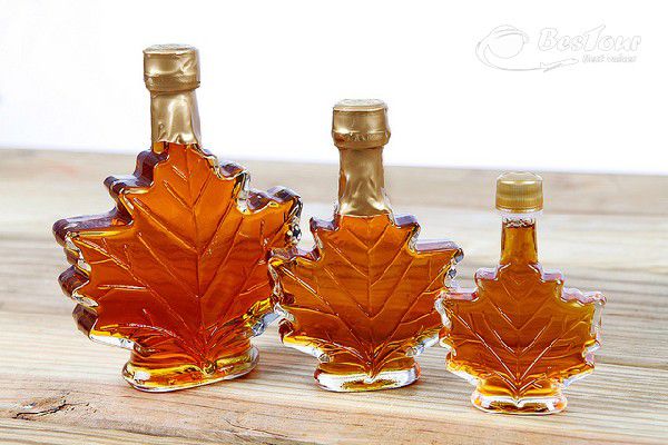 Thưởng thức đặc sản siro cây lá phong Canada Thưởng thức đặc sản siro cây lá phong Canada