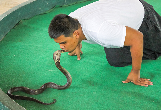 Du Lịch Bangkok Tự Túc- Gợi Ý 25 Điểm Tham Quan, Vui Chơi Du Lịch Bangkok Tự Túc- Gợi Ý 25 Điểm Tham Quan, Vui Chơi