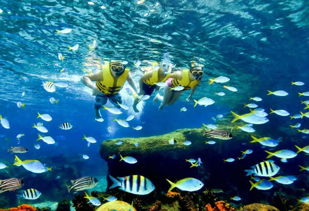 adventure cove tại Sentosa