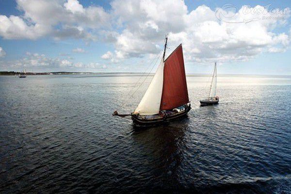 Vẻ đẹp hoang sơ bờ biển Wadden Hà Lan Vẻ đẹp hoang sơ bờ biển Wadden Hà Lan