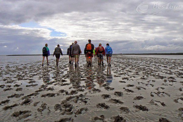 Vẻ đẹp hoang sơ bờ biển Wadden Hà Lan Vẻ đẹp hoang sơ bờ biển Wadden Hà Lan
