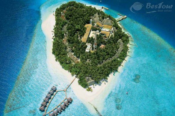 Hương vị khó cưỡng của món cà ri Riha Hương vị khó cưỡng của món cà ri Riha