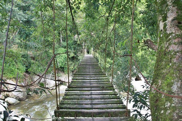 Cầu Mây- chút cheo leo thử thách lòng người Cầu Mây- chút cheo leo thử thách lòng người