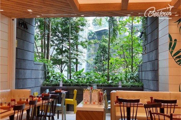 Jewel Changi - Khu vui chơi mới tại sân bay Singapore có gì đặc biệt? Jewel Changi - Khu vui chơi mới tại sân bay Singapore có gì đặc biệt?