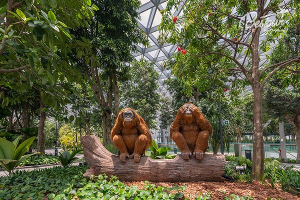 Jewel Changi - Khu vui chơi mới tại sân bay Singapore có gì đặc biệt? Jewel Changi - Khu vui chơi mới tại sân bay Singapore có gì đặc biệt?