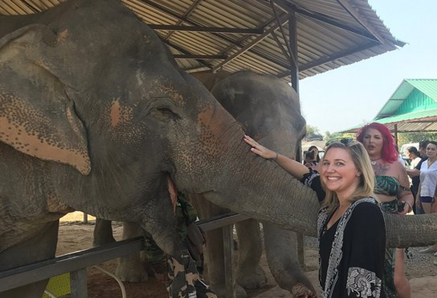 Làng voi Pattaya - khu bảo tồn nổi tiếng Thái Lan Làng voi Pattaya - khu bảo tồn nổi tiếng Thái Lan