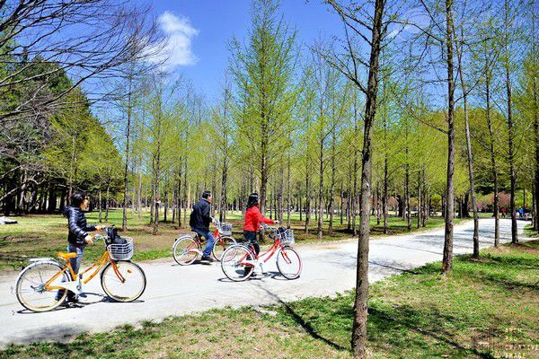 Lạc vào cổ tích bốn mùa tại đảo Nami Lạc vào cổ tích bốn mùa tại đảo Nami