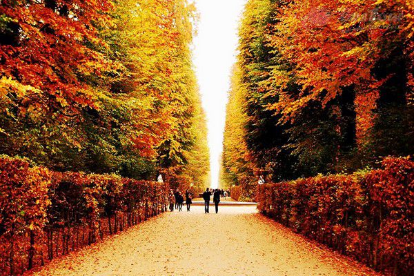 Lạc vào cổ tích bốn mùa tại đảo Nami Lạc vào cổ tích bốn mùa tại đảo Nami