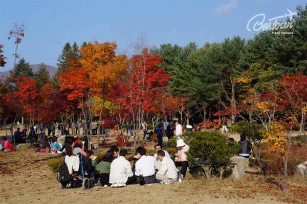 Đảo Nami chuyển mình sang thu Đảo Nami chuyển mình sang thu