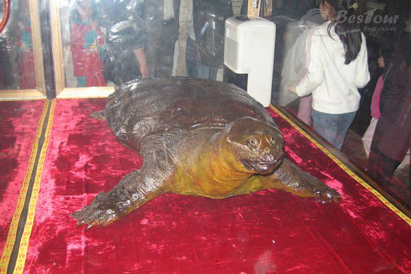 Vào đền Ngọc Sơn khám phá nét tâm linh của Hà Nội Vào đền Ngọc Sơn khám phá nét tâm linh của Hà Nội