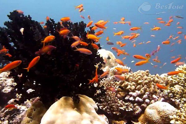 Địa điểm du lịch nhất định phải đến khi tới Maldives Địa điểm du lịch nhất định phải đến khi tới Maldives