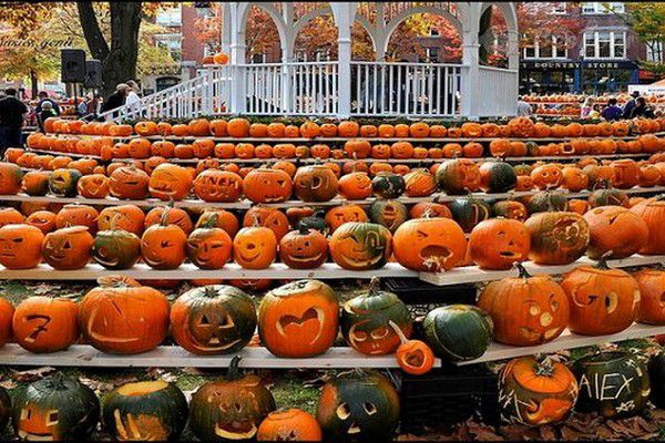 Độc đáo lễ hội bí ngô tại Đức Độc đáo lễ hội bí ngô tại Đức